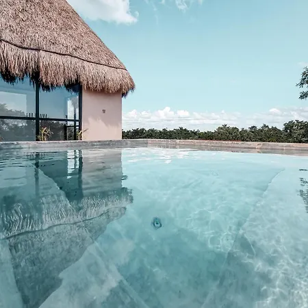 Luxury Jungle Penthouse With Private Rooftop Pool